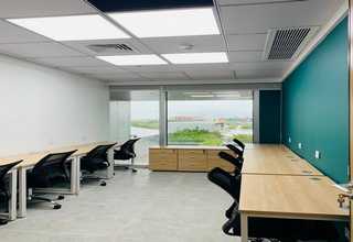 丽江阳光益生菌的故事