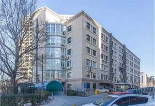 广东盲盒公仔订购